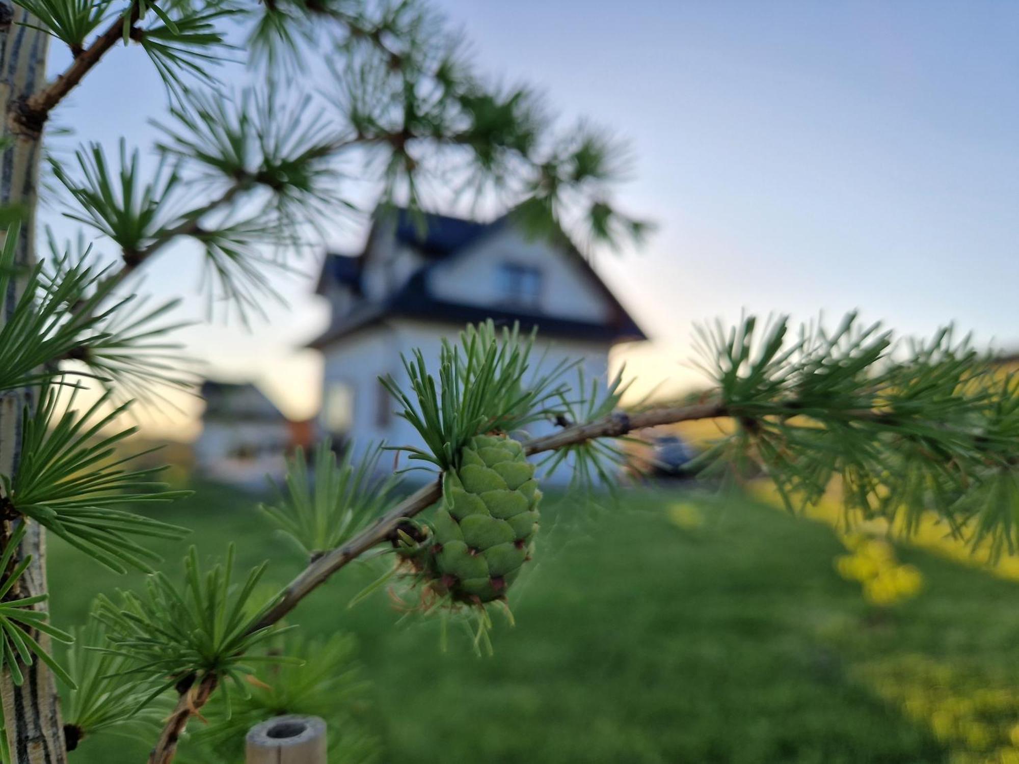 Holiday home Dziewiecsil &chaber _domki Blisko Lasu